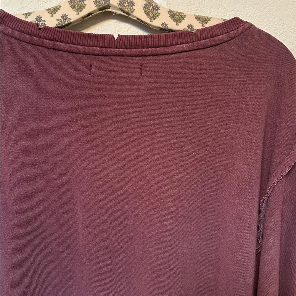 NWT Free People We The Free | Camden Sweatshirt Pullover | XS